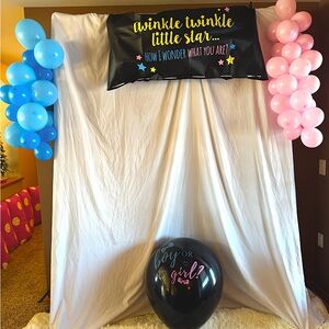 Gender Reveal Balloon Drop Bag